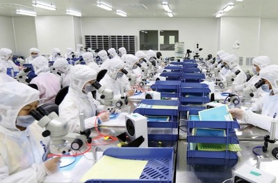 廈門 7萬崗位面朝大海，有色金屬壓延加工行業(yè)誠邀英才